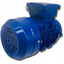 Elektros variklis 0 55kw 230 400v 1370rpm 3 fazis