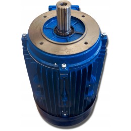 Elektros variklis 0 55kw 230 400v 1370rpm 3 fazis