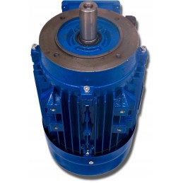 Elektros variklis 2 2kw 230 400v 1400rpm 3 fazis