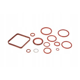 256r917004521 vožtuvo sandariklio komplektas