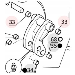 Manitou krūmas 224067