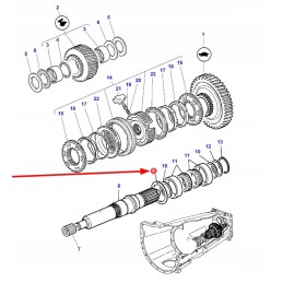3715916m2 seger žiedinis pavarų dėžės velenas