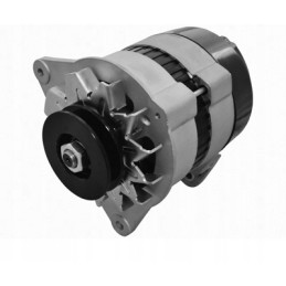 Generatoriaus ferguson korpusas leyland 36 amp 12 v