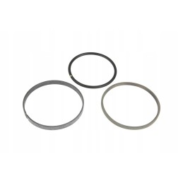 F931860030060 sandarinimo rinkinys