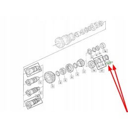 L41662 poveržlė 62 5 x 72 5 x 0 15 mm