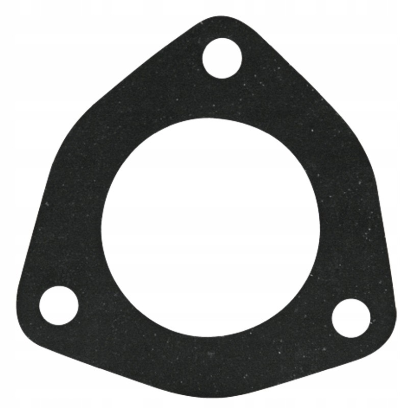 Antspaudas fiat 74717033 4599809 granitas