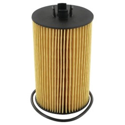 Donaldson P550768 alyvos filtras