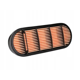 Donaldson P606121 oro filtras