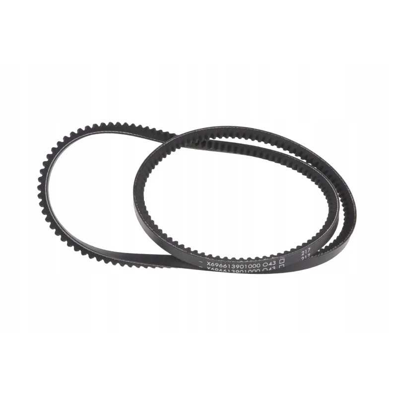 X696613901000 trapecinis diržas avx10 x 1215 la