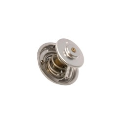 Deutz Fahr termostatas 04224847