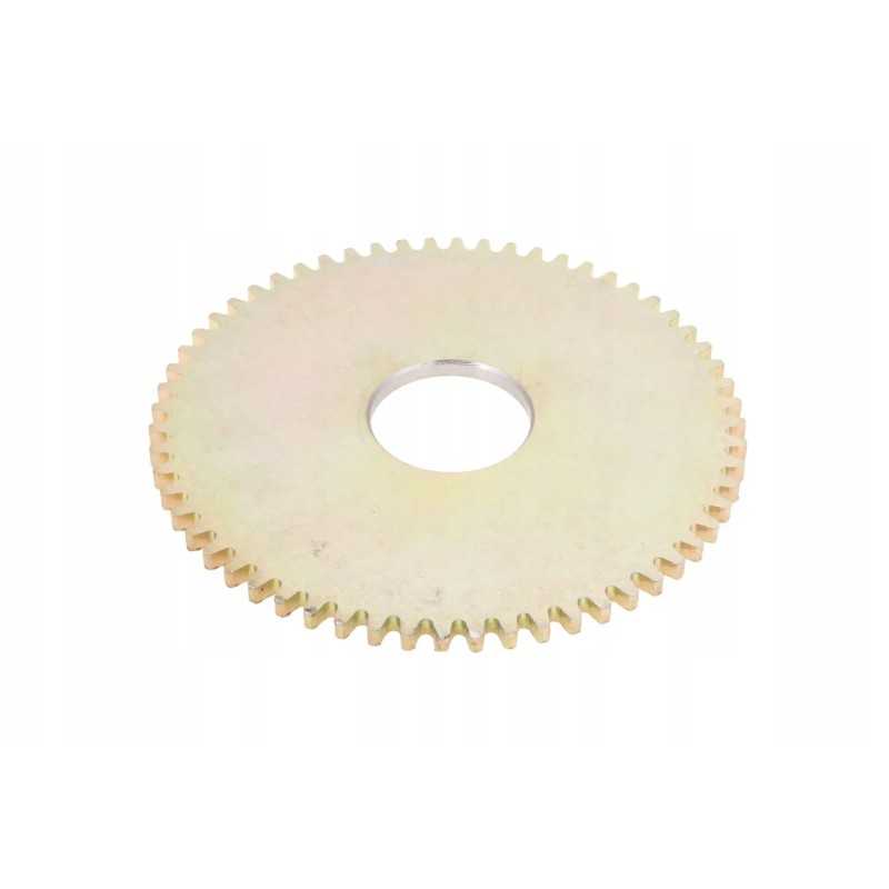 112752w1 rotoriaus dantytas diskas