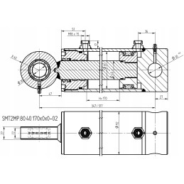 Hidraulinio cilindro pavara, stūmoklis 80x40, eiga 170