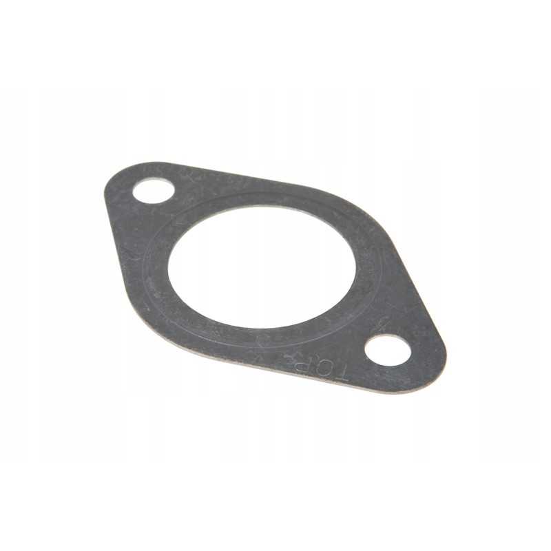 798806 0 variklio izoliacijos tarpiklis