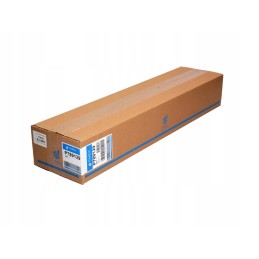 Donaldson oro filtras p789129