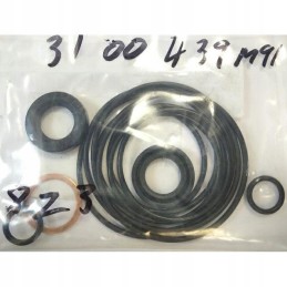 Hidraulinio siurblio sandariklių rinkinys 3100439m91 3