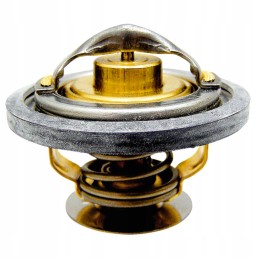 Deutz Fahr termostatas 54mm 74704029 granitas