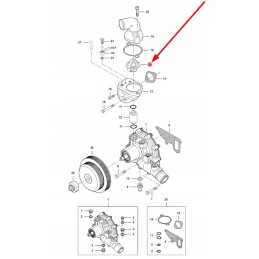 V837081319 variklio aušinimo sistemos termostatas