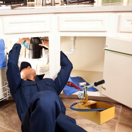 1vnt rankinis hidrostatinis siurblys