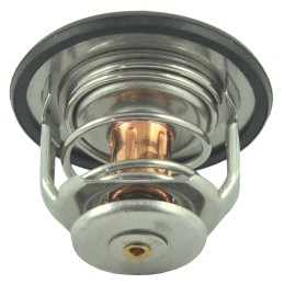 Aušinimo sistemos termostatas oe 54 mm 82 cm