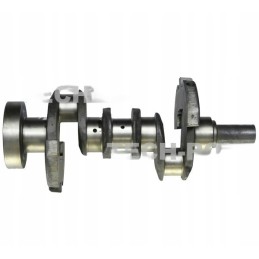 Nitriduotas alkūninis velenas mf3 pom tyczyn 3132002k91a t