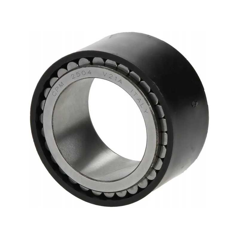 Rutulinis guolis 7300602601