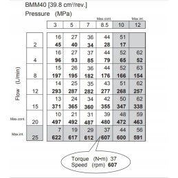 Hidraulinis variklis smm mms bmm omm omzm 40 pusė