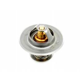 Fiat korpuso termostatas 4569187 4823210 98463637 4823