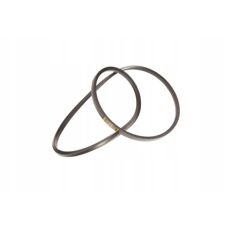 1201153d V formos dirzas classic bx 1981 li