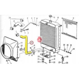 Apatinė radiatoriaus guminė žarna C 330 originali