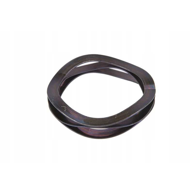 4300601m1 poveržlė