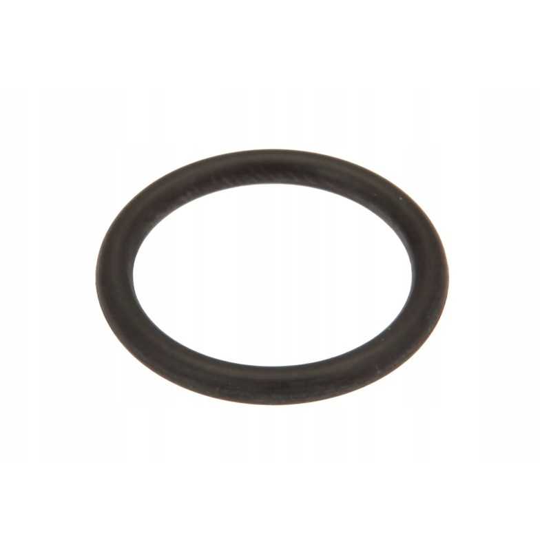 6005020136 O formos žiedas 16 3 x 2 2