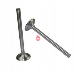 Išmetimo vožtuvas c 330 originalus ursus