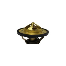 Termostatas John Deere New Holland adresu 22963 83916916