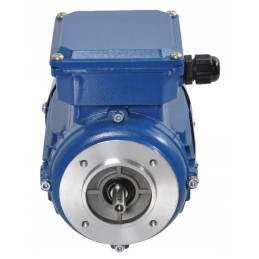 Elektros variklis 0 18 kW