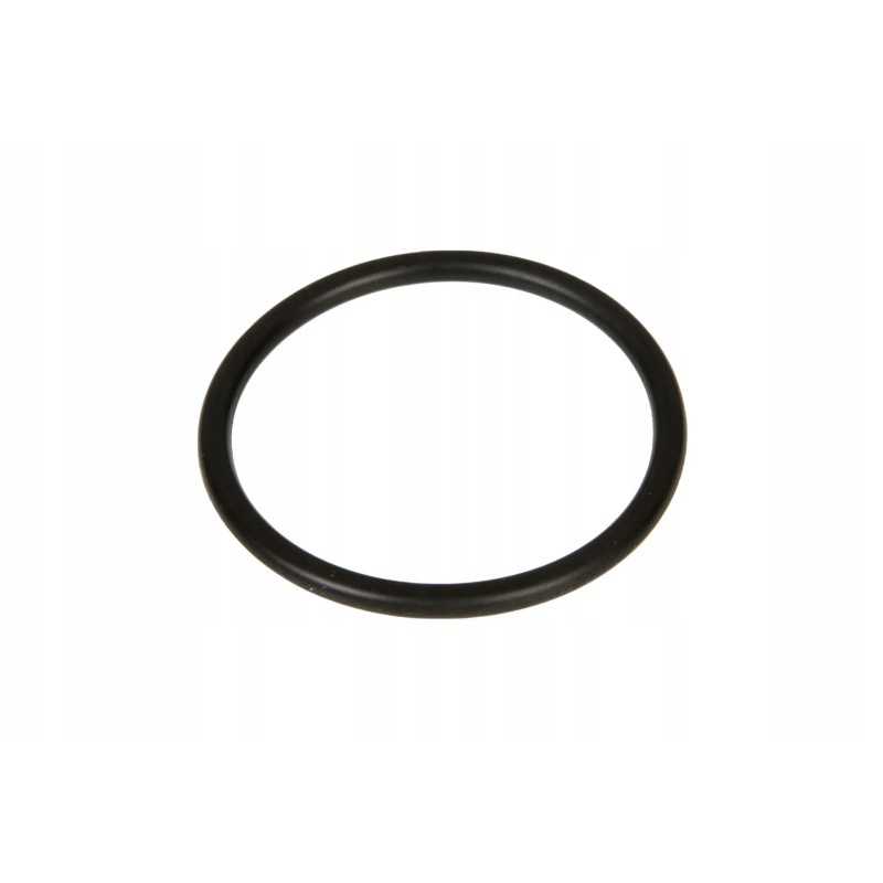 F100001174706 kuro siurblio sandarinimo žiedas