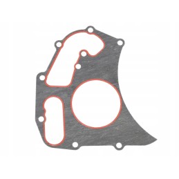 Landini perkins vandens siurblio tarpine 4224960m1