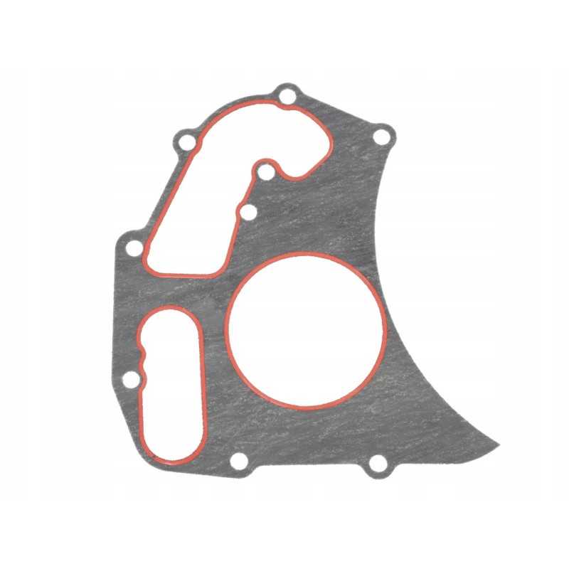 Landini perkins vandens siurblio tarpine 4224960m1