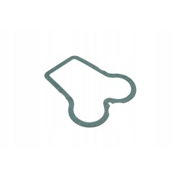 F385200210171 agco vožtuvo dangtelio tarpinė