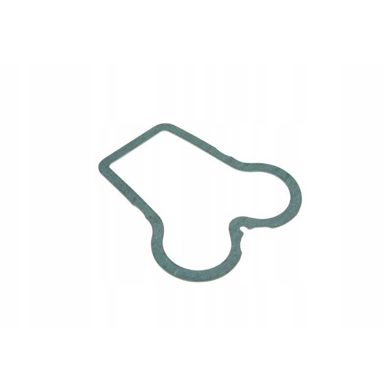 F385200210171 agco vožtuvo dangtelio tarpinė