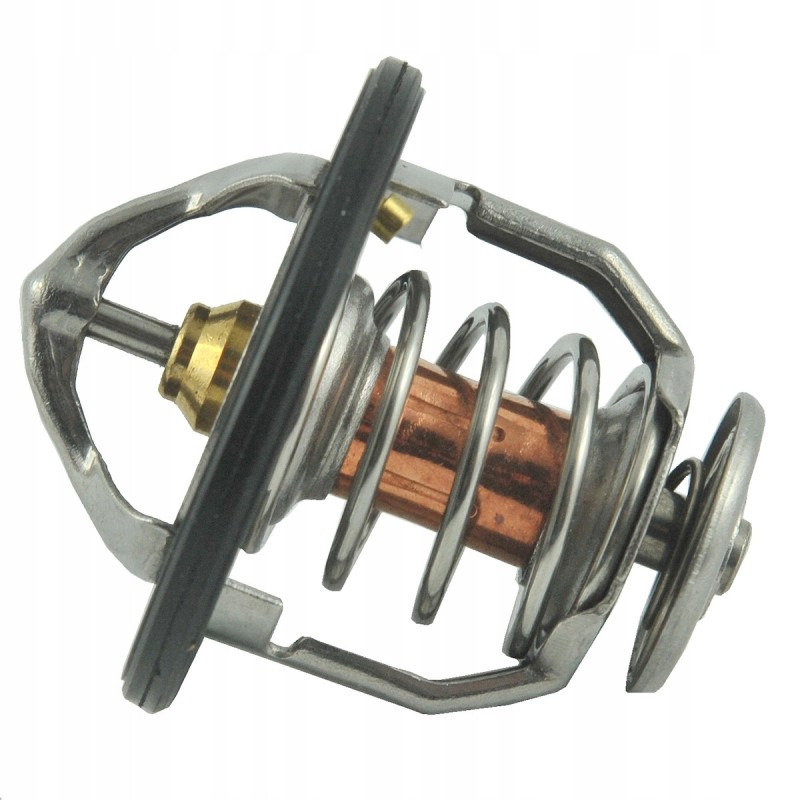 Aušinimo termostatas oe 54 mm 76 c mitsubishi 4m40