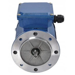 Elektros variklis 0 09 kW