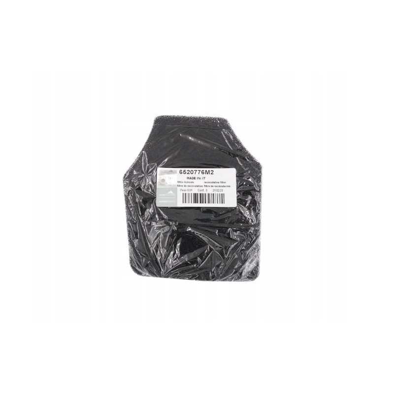 Landini salono oro filtras 6520776m2