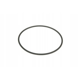 V837091020 įpurškimo siurblio sandarinimo žiedas