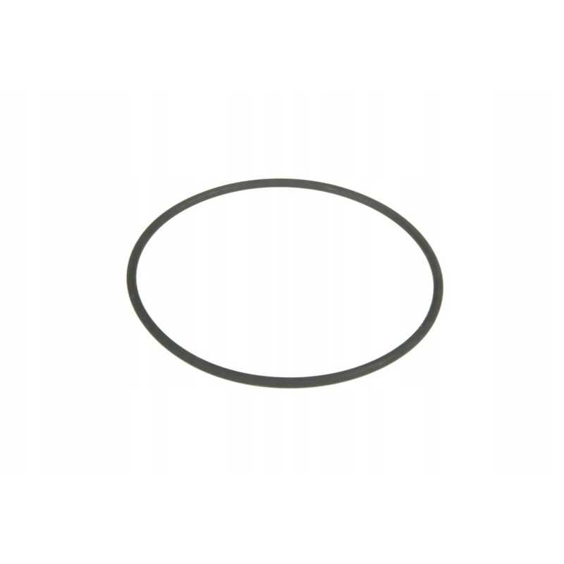 V837091020 įpurškimo siurblio sandarinimo žiedas