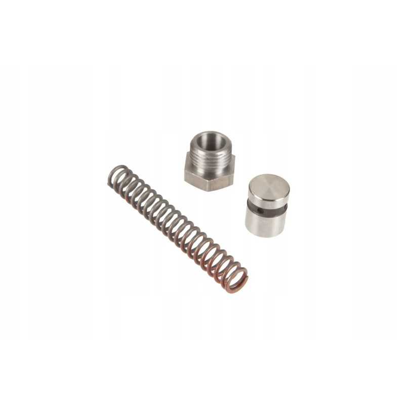 4225067m91 vožtuvų remonto komplektas