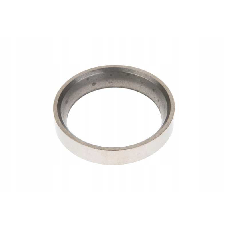 F824200210960 išmetimo vožtuvo lizdas