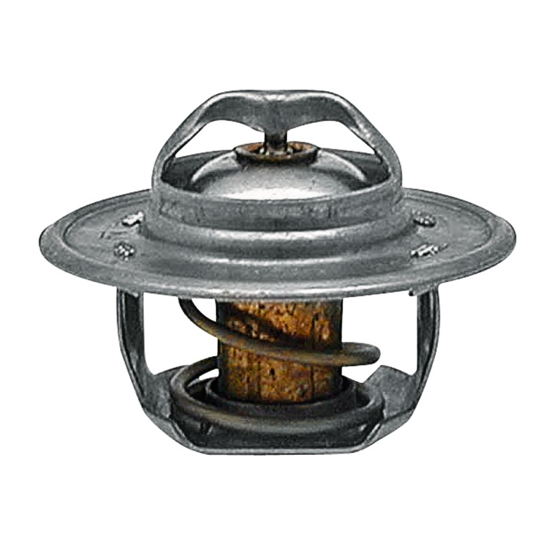 Termostatas 88 c ford 54mm 74717036 granitas
