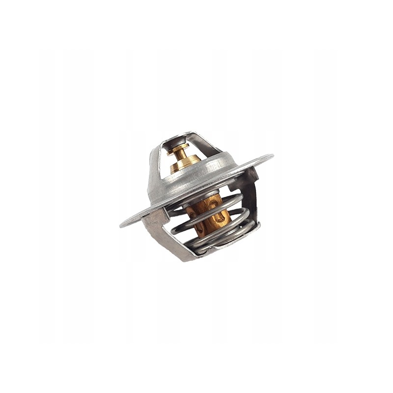 Termostatas 3916917 Ford Termostatas 3916917 Ford