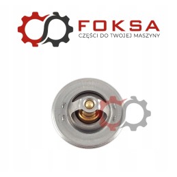 Termostatas 3916917 Ford