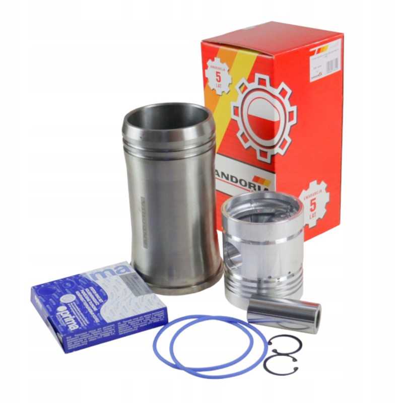 C 360 Andoria variklio remonto komplektas 55110018